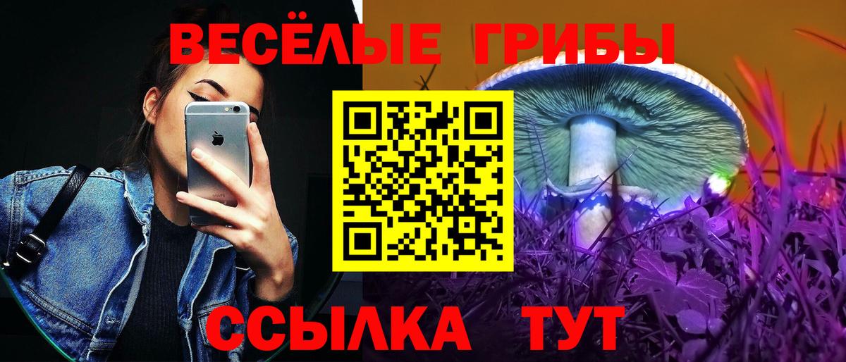 Краснокаменск  как найти закладки  Галлюциногенные грибы мицелий  Вход с VPN  Галлюциногенные грибы Psilocybine cubensis 